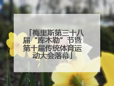 梅里斯第三十八届“库木勒”节暨第十届传统体育运动大会落幕