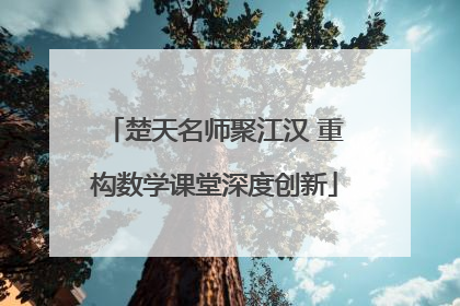 楚天名师聚江汉 重构数学课堂深度创新