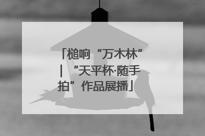 槌响“万木林”｜“天平杯·随手拍”作品展播