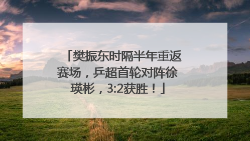 樊振东时隔半年重返赛场，乒超首轮对阵徐瑛彬，3:2获胜！