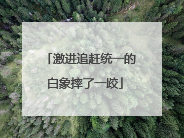 激进追赶统一的白象摔了一跤