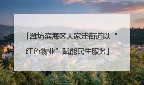 潍坊滨海区大家洼街道以“红色物业”赋能民生服务
