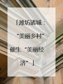 潍坊诸城：“美丽乡村”催生“美丽经济”