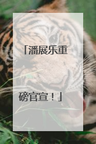 潘展乐重磅官宣！