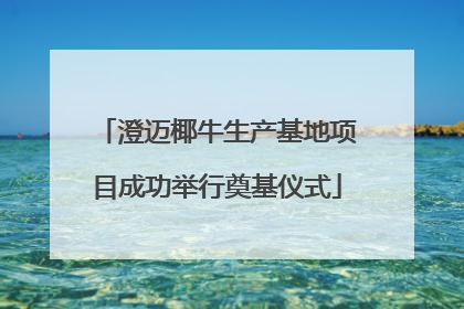 澄迈椰牛生产基地项目成功举行奠基仪式
