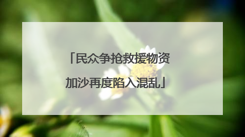 民众争抢救援物资 加沙再度陷入混乱