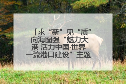 求“新”见“质” 向海图强“魅力大港 活力中国·世界一流港口建设”主题宣传活动走进山东