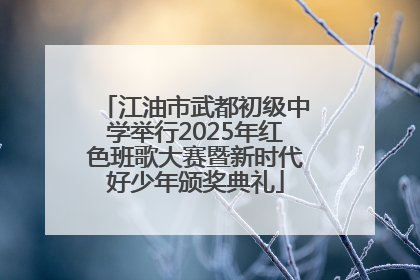 江油市武都初级中学举行2025年红色班歌大赛暨新时代好少年颁奖典礼