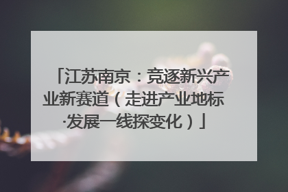 江苏南京：竞逐新兴产业新赛道（走进产业地标·发展一线探变化）