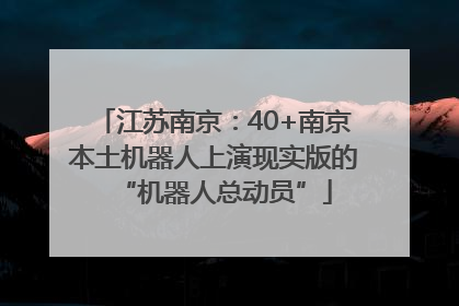江苏南京：40+南京本土机器人上演现实版的“机器人总动员”