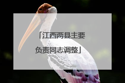 江西两县主要负责同志调整