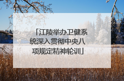 江陵举办卫健系统深入贯彻中央八项规定精神轮训