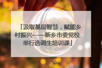 汲取基层智慧，赋能乡村振兴——新乡市委党校举行选调生培训课