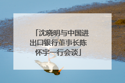 沈晓明与中国进出口银行董事长陈怀宇一行会谈