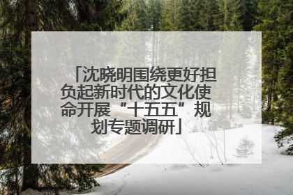 沈晓明围绕更好担负起新时代的文化使命开展“十五五”规划专题调研