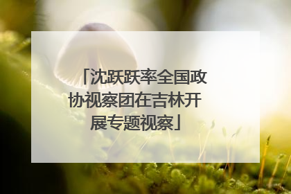 沈跃跃率全国政协视察团在吉林开展专题视察