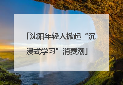 沈阳年轻人掀起“沉浸式学习”消费潮