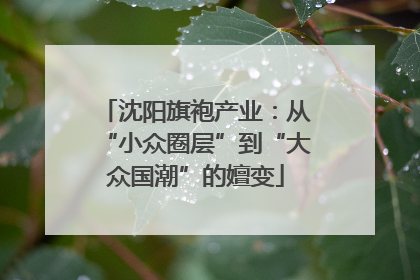 沈阳旗袍产业：从“小众圈层”到“大众国潮”的嬗变
