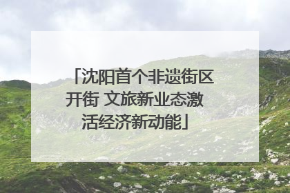 沈阳首个非遗街区开街 文旅新业态激活经济新动能