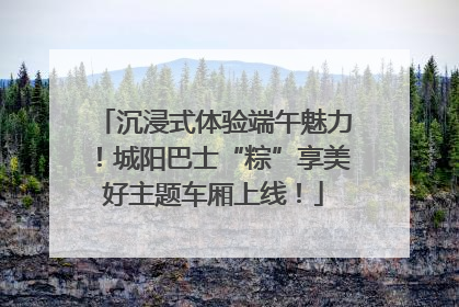 沉浸式体验端午魅力！城阳巴士“粽”享美好主题车厢上线！