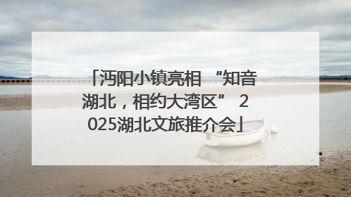 沔阳小镇亮相 “知音湖北，相约大湾区” 2025湖北文旅推介会