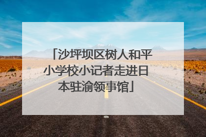 沙坪坝区树人和平小学校小记者走进日本驻渝领事馆