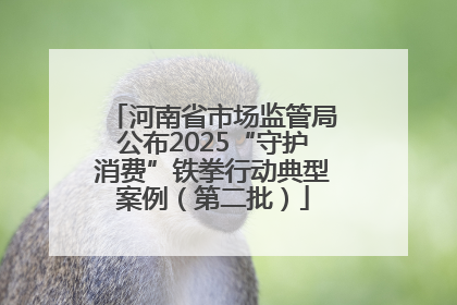 河南省市场监管局公布2025“守护消费”铁拳行动典型案例（第二批）