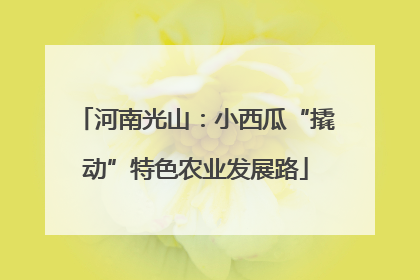 河南光山：小西瓜“撬动”特色农业发展路