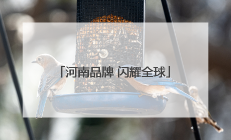 河南品牌 闪耀全球