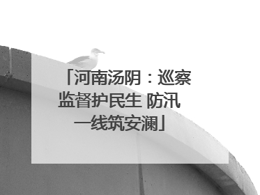 河南汤阴：巡察监督护民生 防汛一线筑安澜