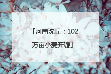 河南沈丘：102 万亩小麦开镰