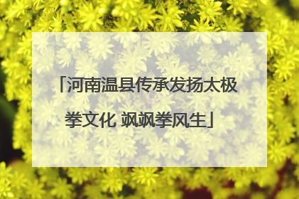 河南温县传承发扬太极拳文化 飒飒拳风生