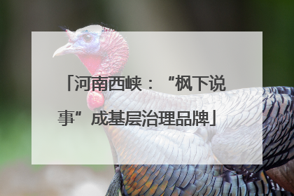 河南西峡：“枫下说事”成基层治理品牌