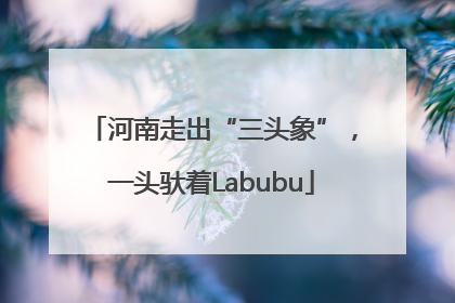 河南走出“三头象”，一头驮着Labubu