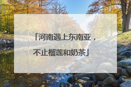 河南遇上东南亚，不止榴莲和奶茶