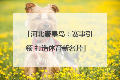 河北秦皇岛：赛事引领 打造体育新名片