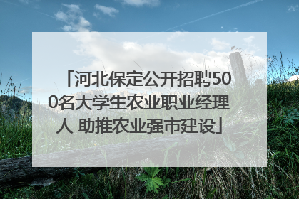 河北保定公开招聘500名大学生农业职业经理人 助推农业强市建设
