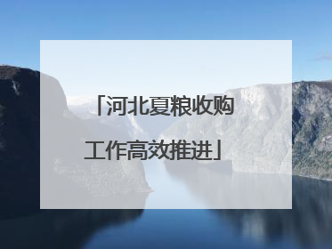 河北夏粮收购工作高效推进