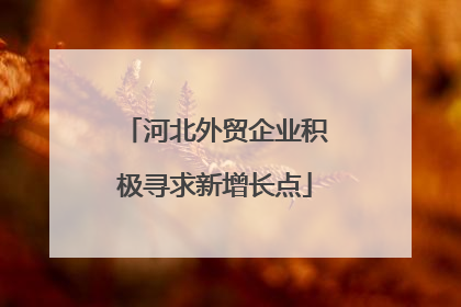河北外贸企业积极寻求新增长点