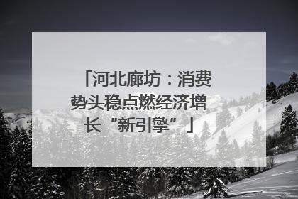 河北廊坊：消费势头稳点燃经济增长“新引擎”