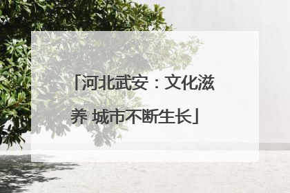 河北武安：文化滋养 城市不断生长