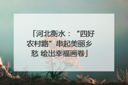 河北衡水：“四好农村路”串起美丽乡愁 绘出幸福画卷