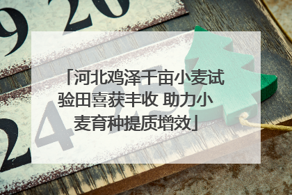 河北鸡泽千亩小麦试验田喜获丰收 助力小麦育种提质增效