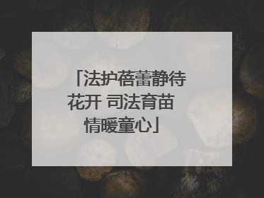 法护蓓蕾静待花开 司法育苗情暖童心