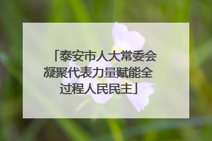 泰安市人大常委会凝聚代表力量赋能全过程人民民主