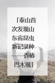 泰山首次发现山东省昆虫新记录种——香椿巴木虱