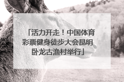 活力开走！中国体育彩票健身徒步大会昆明卧龙古渔村举行
