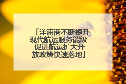 洋浦港不断提升现代航运服务能级 促进航运扩大开放政策快速落地