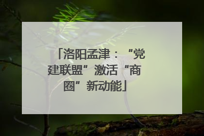 洛阳孟津：“党建联盟”激活“商圈”新动能