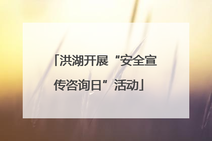 洪湖开展“安全宣传咨询日”活动